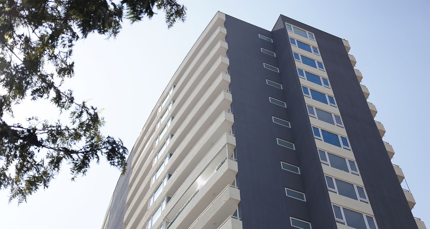 imgi_48_AltoLazcano_0000_Portada